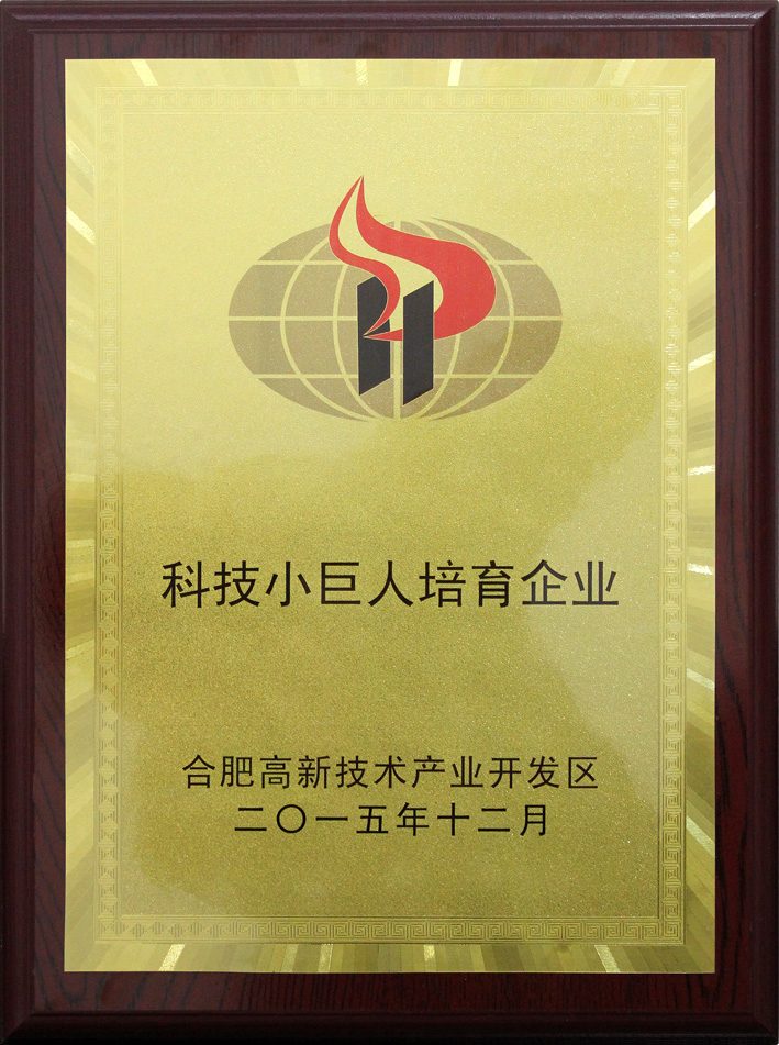 TSINGLINK award 38